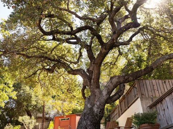 1026 Oak Grove Drive, Los Angeles CA 90041