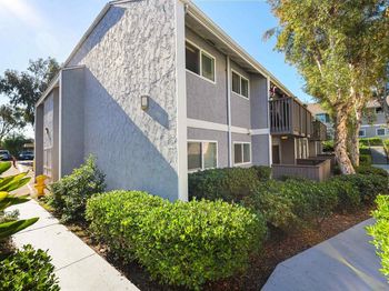 6333 College Grove Way