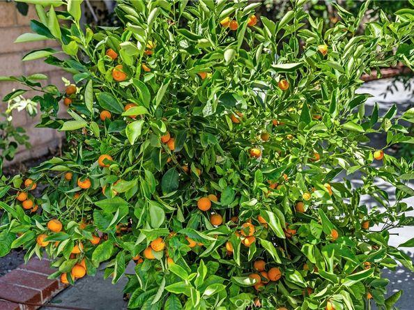 30 Entrada W, Irvine CA 92620