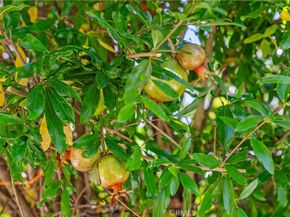 30 Entrada W, Irvine CA 92620