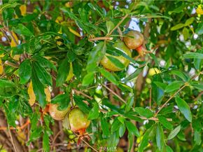 30 Entrada W, Irvine CA 92620