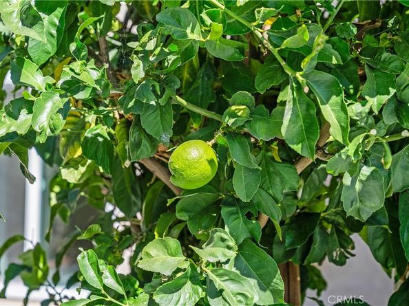 30 Entrada W, Irvine CA 92620