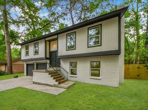 33 Kittiwake Court, The Woodlands TX 77380