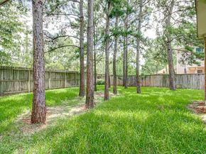 31 Pleasant Point Place, Spring TX 77389