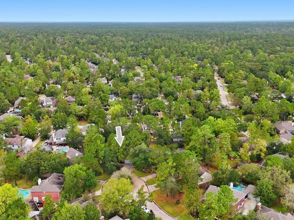 60 W Twinberry Place, The Woodlands TX 77381