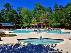 15 Lilac Ridge Place, The Woodlands TX 77384