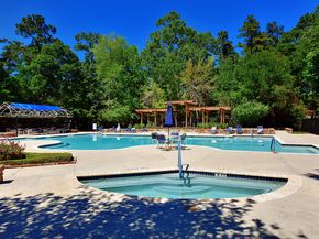 15 Lilac Ridge Place, The Woodlands TX 77384