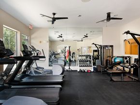 15 Lilac Ridge Place, The Woodlands TX 77384