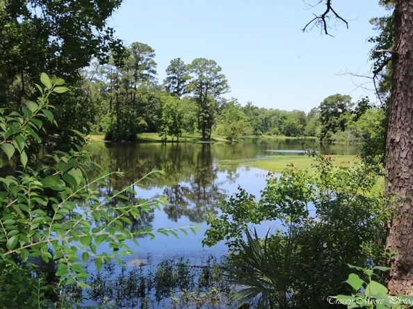 27603 Molly Hills Court, Spring TX 77386