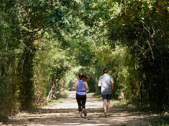 11123 Swamp Edge Lane, Cypress TX 77433