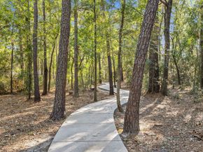 31306 Summit Grove Lane, Spring TX 77386