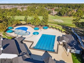 31306 Summit Grove Lane, Spring TX 77386