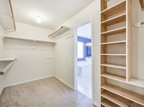 13203 Yaupon Holly Lane, Houston TX 77044