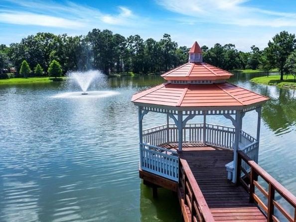 13203 Yaupon Holly Lane, Houston TX 77044