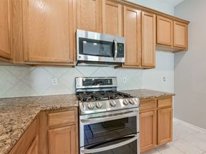 13203 Yaupon Holly Lane, Houston TX 77044