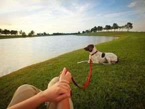 16918 Himley Drive, Cypress TX 77433