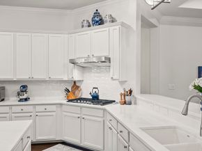 205 Friesian Lane, The Woodlands TX 77382