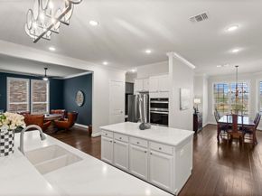 205 Friesian Lane, The Woodlands TX 77382