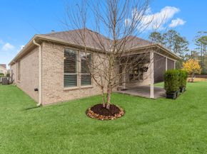 205 Friesian Lane, The Woodlands TX 77382