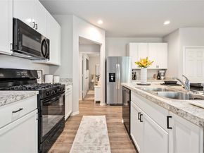 10527 Meadow Saffron Drive, Houston TX 77016