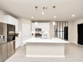 21034 Sunny Ravine Drive, Cypress TX 77433