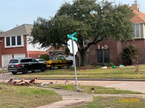 4702 Breckenridge Drive, Houston TX 77066