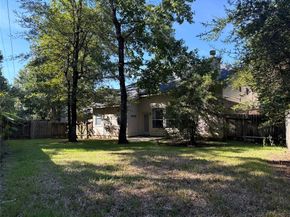 26 Ebony Oaks Place, The Woodlands TX 77382