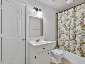 26 Ebony Oaks Place, The Woodlands TX 77382