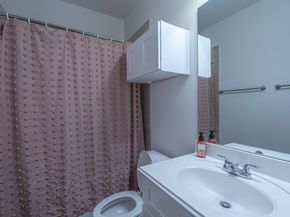 507 Rouse Street, Houston TX 77020