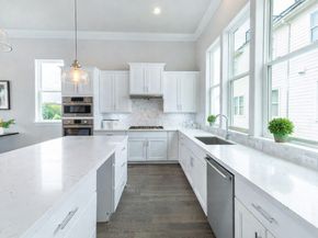 735 Bringhurst Street, Houston TX 77020