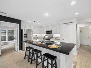 11 Twisted Birch Place Court, The Woodlands TX 77381