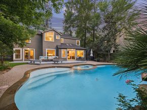 11 Twisted Birch Place Court, The Woodlands TX 77381