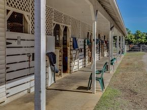 19902 Tidy Tips Lane, Spring TX 77379