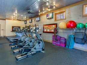 19902 Tidy Tips Lane, Spring TX 77379