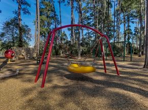 19902 Tidy Tips Lane, Spring TX 77379