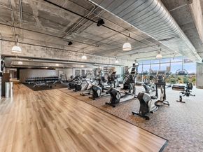 5925 Almeda Road 11315, Houston TX 77004