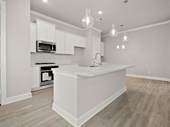 11422 Galway Grove Drive, Houston TX 77047