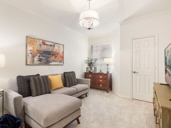 14 Prism Cove Place, The Woodlands TX 77381