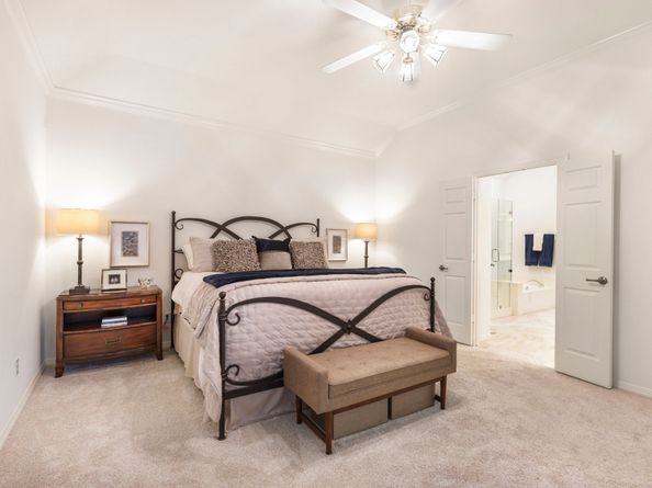 14 Prism Cove Place, The Woodlands TX 77381