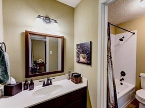 11719 Cedar Form Lane, Meadows Place TX 77477