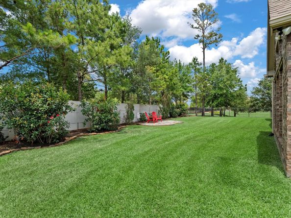 19023 Wild Thornberry Drive, Tomball TX 77377