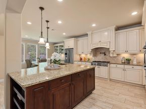 19023 Wild Thornberry Drive, Tomball TX 77377