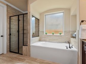 19023 Wild Thornberry Drive, Tomball TX 77377