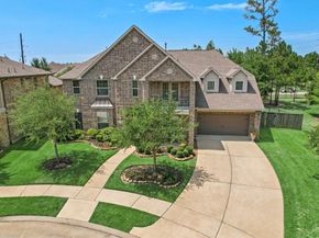 19023 Wild Thornberry Drive, Tomball TX 77377