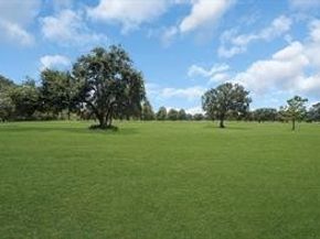 8267 Sands Point Drive 172, Houston TX 77036