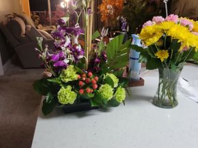 8267 Sands Point Drive 172, Houston TX 77036