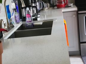 8267 Sands Point Drive 172, Houston TX 77036