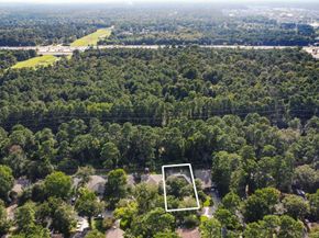 214 W Misty Dawn Drive, The Woodlands TX 77385