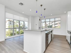 207 Pierce Street 301, Houston TX 77002