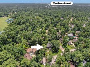 10610 Whisperwillow Place, The Woodlands TX 77380